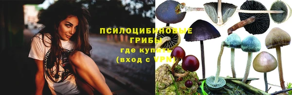 a pvp Абдулино