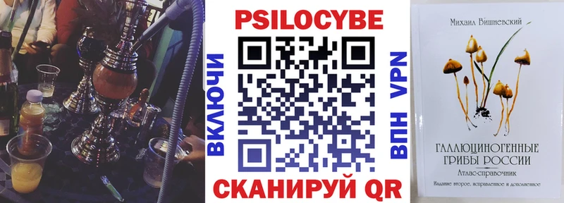 что такое наркотик  кракен зеркало  Псилоцибиновые грибы GOLDEN TEACHER  Райчихинск 